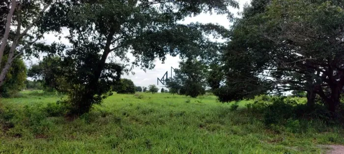 Fazenda - Municipio de Britânia - Goias