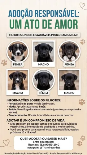 Cachorros