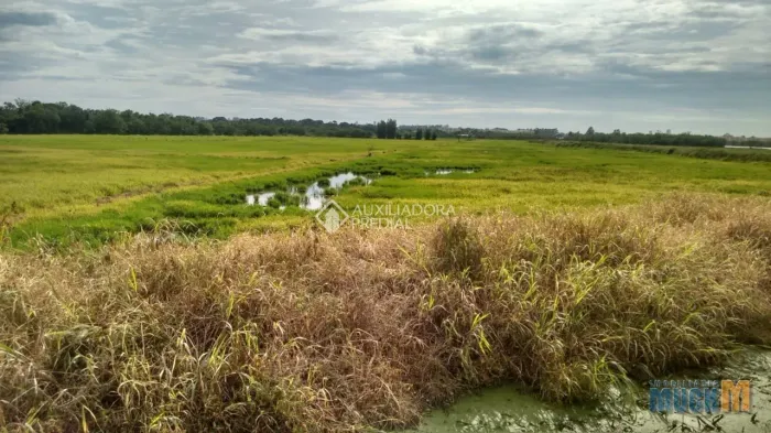 Terreno à Venda no bairro Mato Grande com 75000m²