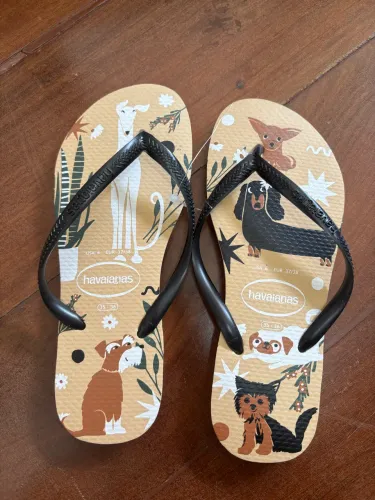 Havaiana cachorros 35/36 nova 