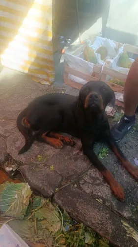 Doação 