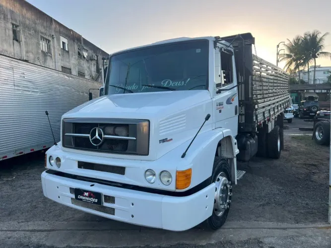 Mercedes bens 1318 2011