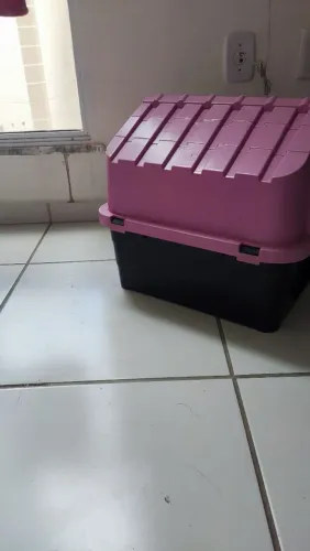 Casinha pet ou gato