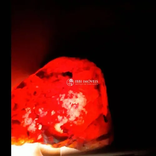 Diamante Vermelho o mais caro do Mundo