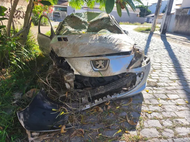 Vendo sucata de Peugeot 207 1.4 flex 2009/10