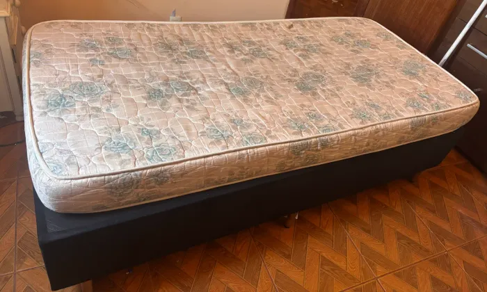 Cama
