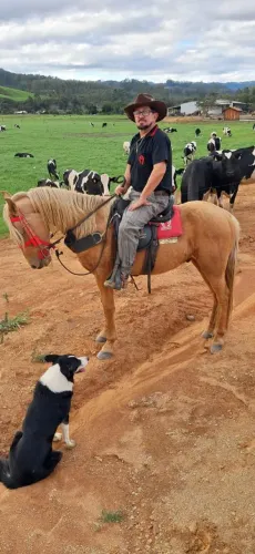 Cavalo