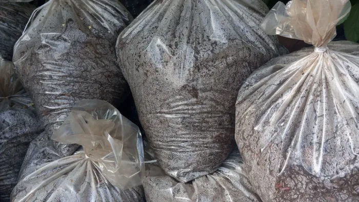 Para Plantas Adubo Natural