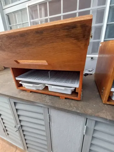 Chocadeira automática para 60 ovos de galinhas