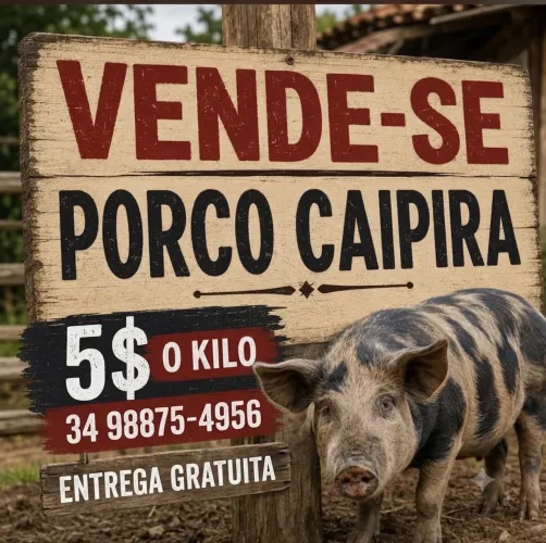 Porco