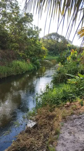 Sítio 10000m² em Punaú Rio do Fogo RN oportunidade terreno amplo
