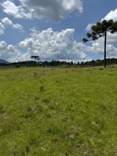 Terreno rural em Painel Sc