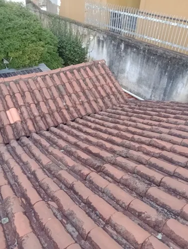 Limpeza de telhas e calhas 
