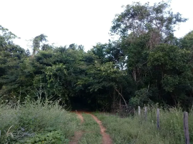 Chácara 1.500 m² (terreno)