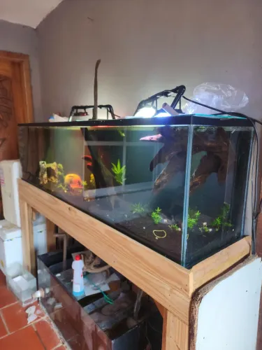 Aquario jumbo Desapego 