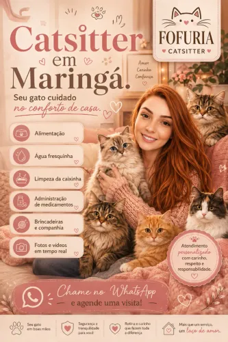 CAT SITTER | BABÁ DE GATO | CUIDADORA DE FELINOS