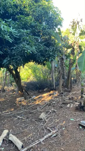 No bairro Sena indo pro filostro em Anápolis aceito trocas 80.000