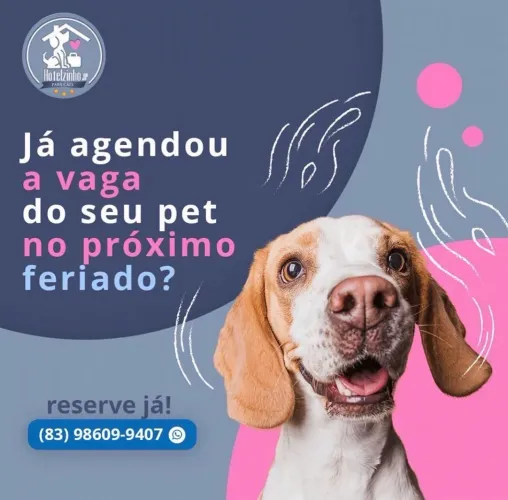 hospedagem pet, banho e creche