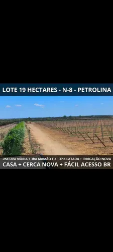 VENDO LOTE NO NUCLEO 08