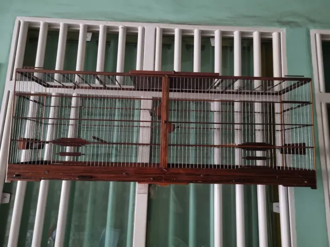 Gaiolas - voadeira grande