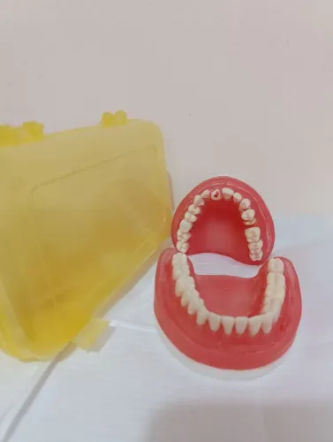 Manequim de prótese odontologia