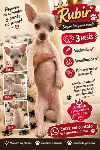 Pincher