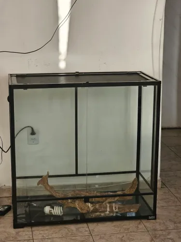 Terrario Exopets G (sem entrega)