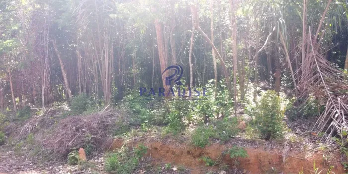 Terreno, Açu da Torre, Mata de São João - R$ 199 mil, Cod: 68494