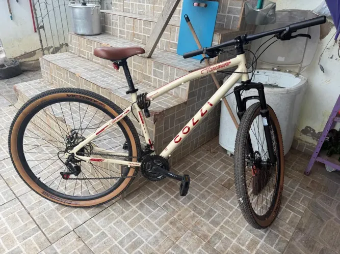 Bicicleta 