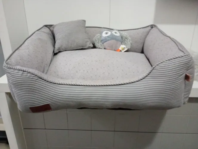 Cama pet
