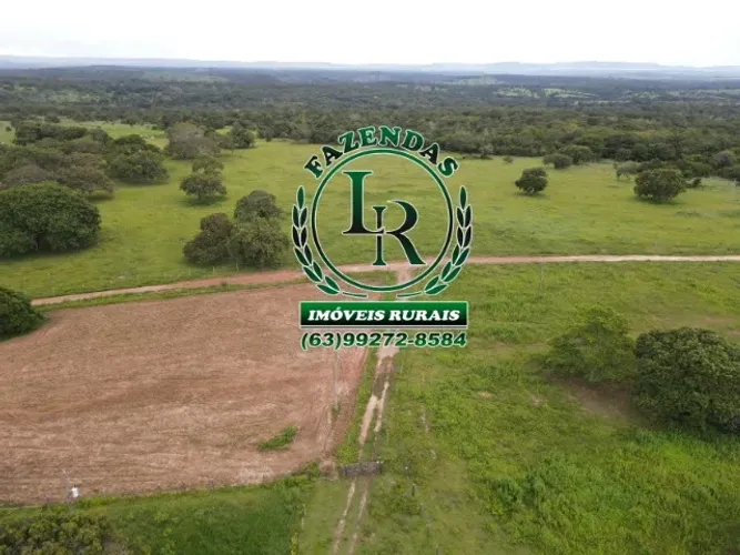 Fazenda 183 hectares, Próximo a Paraiso do Tocantins