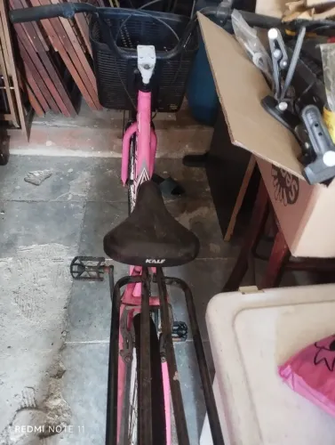 Vendo bike feminina com documento 
