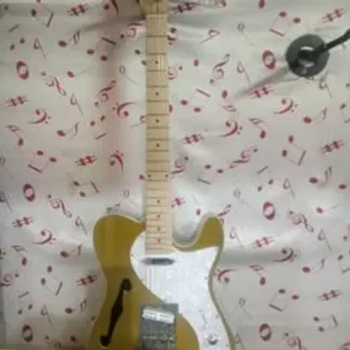 Guitarra Elétrica Waldman Gte-300 Telecaster
