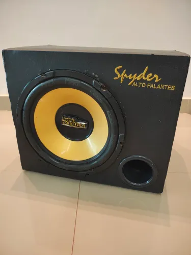 Subwoofer de 12 polegadas 