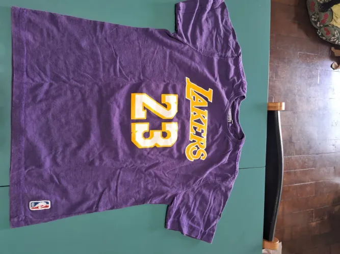 Camisa infantil Lakers LeBron James