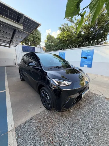 BYD Dolphin Mini (Elétrico) 2024