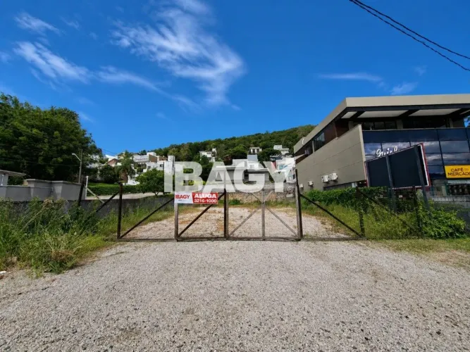 Oportunidade! Terreno em Córrego Grande - Florianópolis
