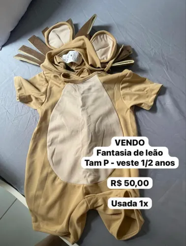 Fantasia Leão Tam P