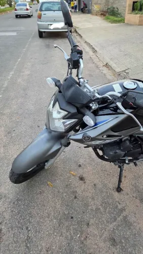 Fazer 250 Blueflex 