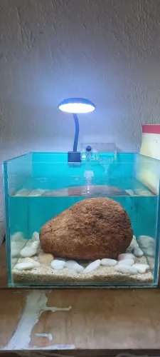 Aquario pequeno completo
