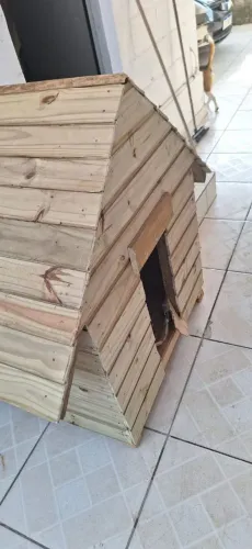 Casinha de Cachorro Pinus Tratado