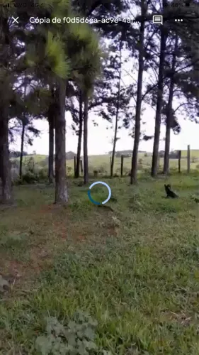 Terreno ideal pra sítio em Palmital-PR