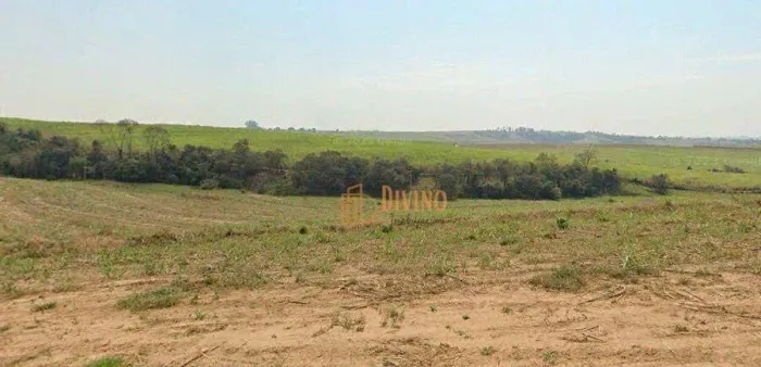 Excelente Fazenda de Cana à Venda  Região de Porto Feliz/SP