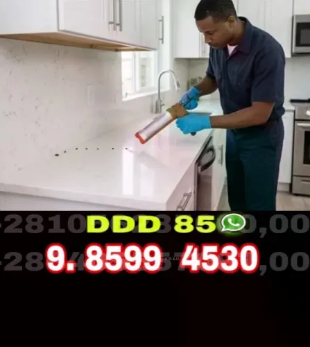 Dedetização de Qualidade com Preço Justo