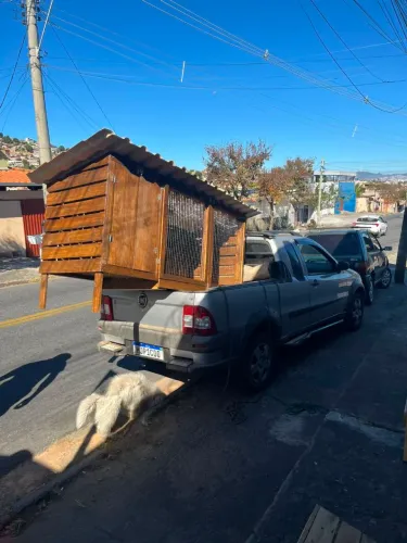 Viveiro galinheiro sob medida gaiolas