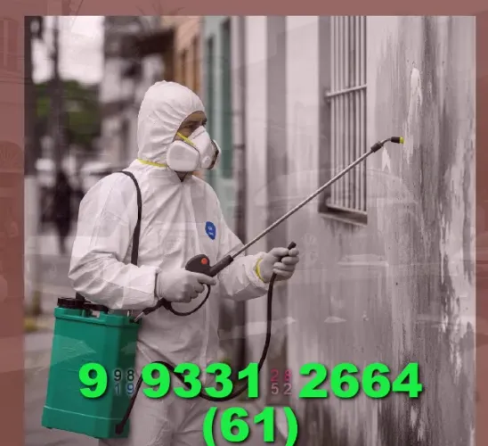 Dedetização: você já pensou em como proteger sua casa contra pragas?