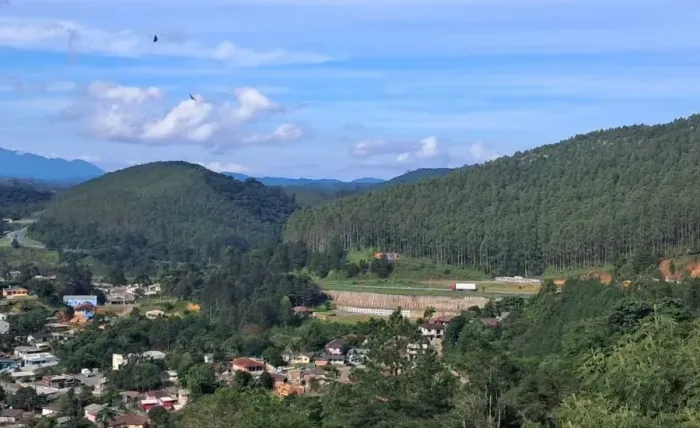 Chácara 10.000m² (1 hectare ) em Campina Grande so Sul PR.