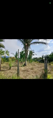 Vendo ou troco chácara localizada a 43 KM do peba sentido ao santa cruz