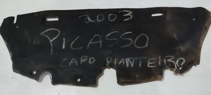 Forro Capo Dianteiro Picasso 2003
