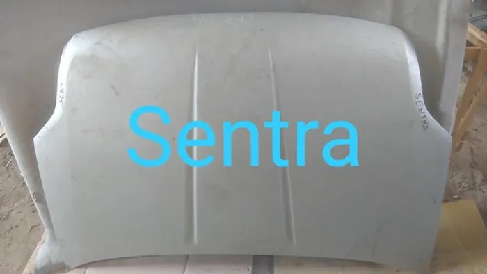 Capo Sentra 